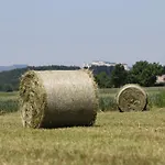 Reschbergerhof By Geierspichler *