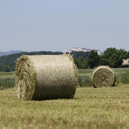 Reschbergerhof By Geierspichler *