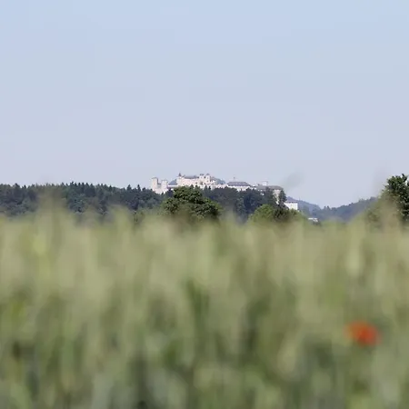 Διαμέρισμα Reschbergerhof By Geierspichler Anif